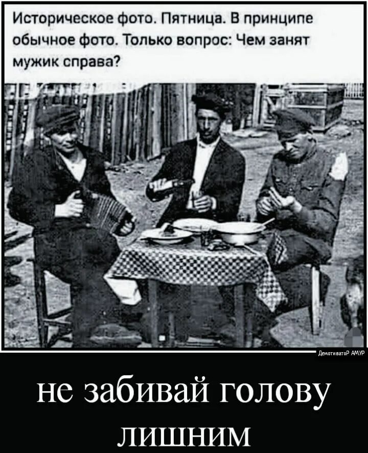 Путин сравнил свою работу с процессами в подводном мире ОПИШИТЕ С ПОМОЩЬЮ ЖИВОТН
