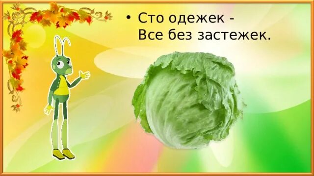 Загадку 100 одежек. Загадку 100 одежек