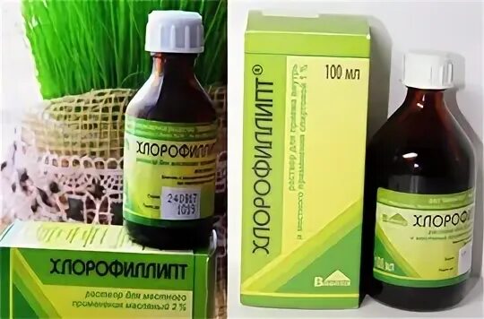 Как обработать горло хлорофиллиптом