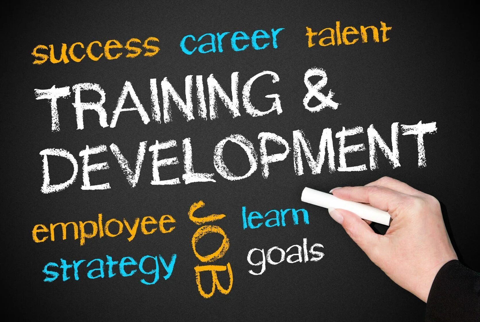 Training and Development. Staff Development and Training. Training, Learning, Development. Employee Development.