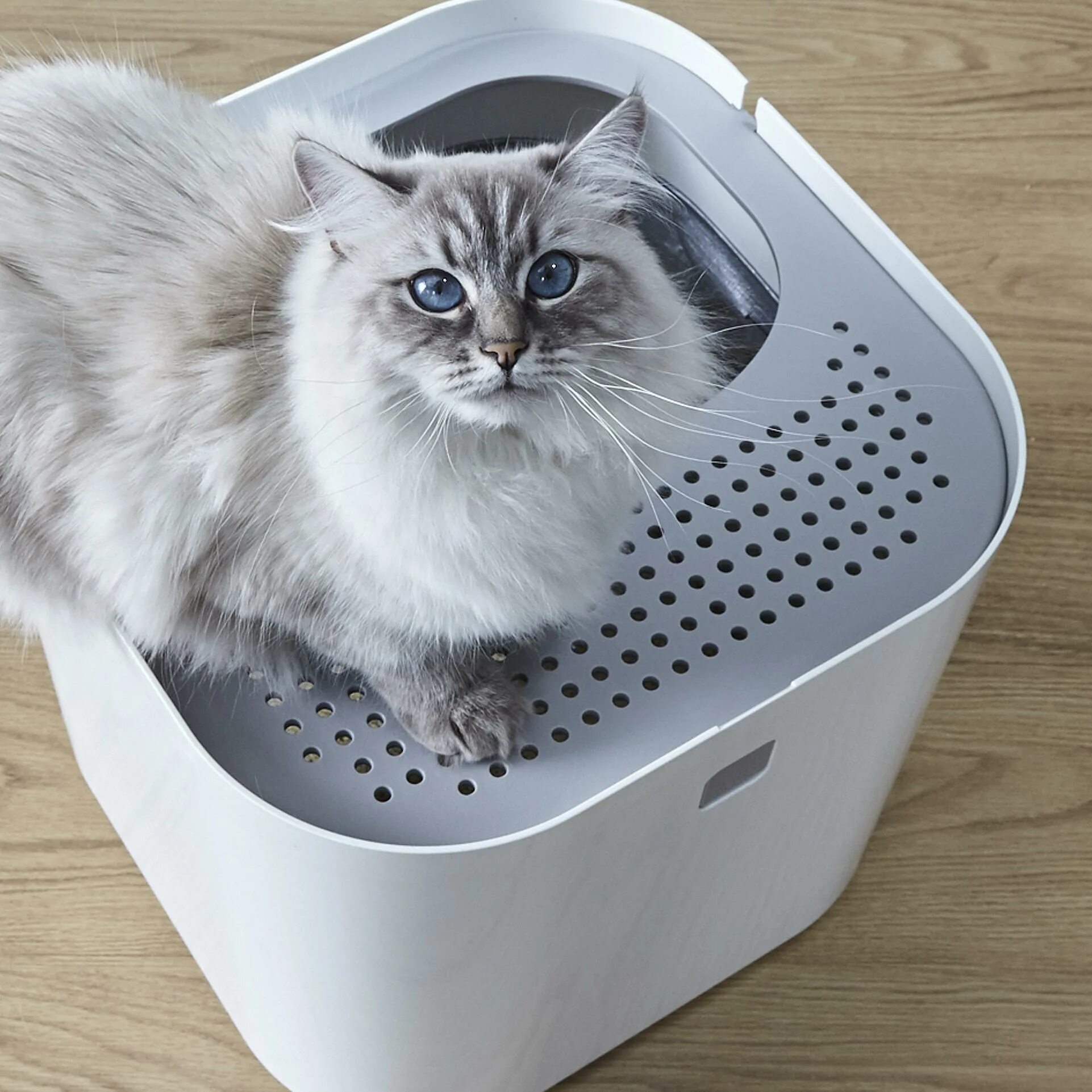 Туалет для кошек. Лоток Xiaomi Cat Litter Box. Modkat Litter Box. Лоток для кошек Xiaomi Furrytail Top entry Cat Litter Box White. Modkat туалеты для кошек.