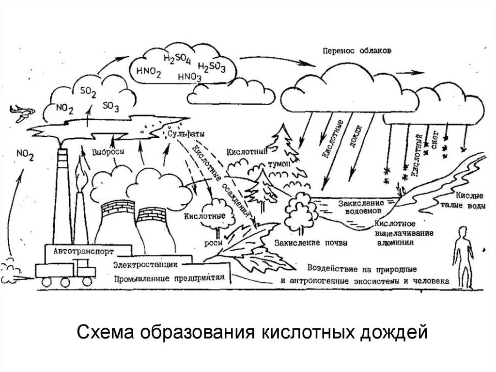 Механизм образования кислотных дождей схема. Механизм образования кислотных дождей схема. Схема возникновения кислотных дождей. Схема образования кислотных дождей. Процесс образования кислотных дождей.