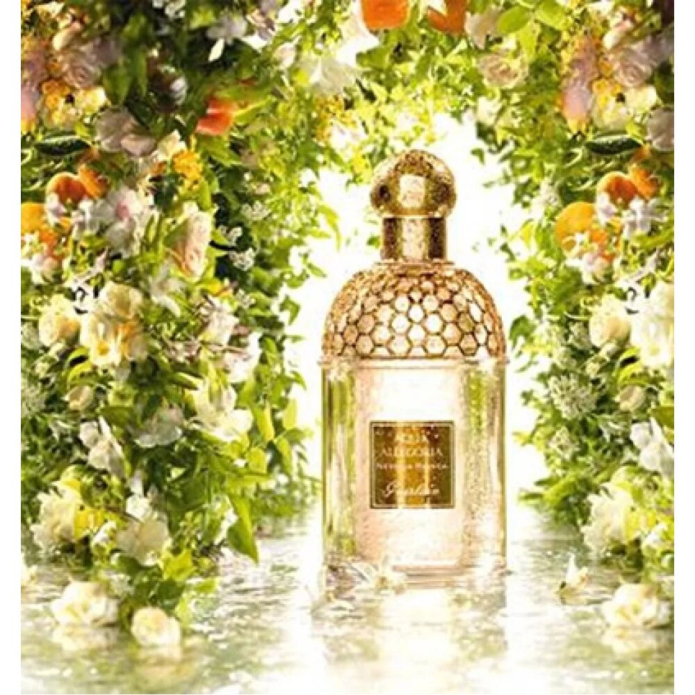 Guerlain aqua allegoria nerolia. Герлен Аква аллегория. Духи Guerlain Aqua Allegoria. Коллекция Аква аллегория от герлен. Аква аллегория ароматы.