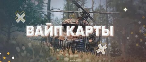 Чизе раст