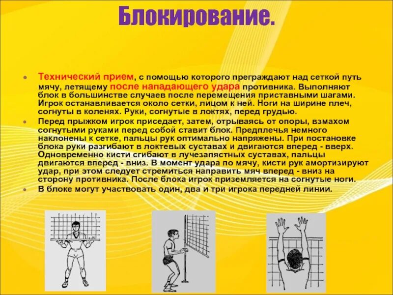 Блокирование в волейболе. Блокирование мяча в волейболе. Зонное блокирование волейбол одиночный блок. Методическая разработка техники блокирования мяча.