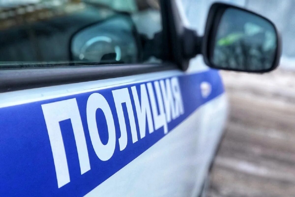 Задержали курьера в москве. 27 февраля полиция схватила желябова укажите имя. 27 февраля полиция схватила желябова укажите имя. Задержание преступника полицией. 27 февраля полиция схватила желябова укажите имя.