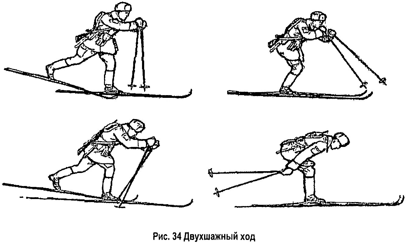 Шаг лыжника. Способы передвижения на лыжах. Классические виды передвижения на лыжах. Основные элеметы техник передвежения на лыжах. Основные элементы техники передвижения на лыжах.