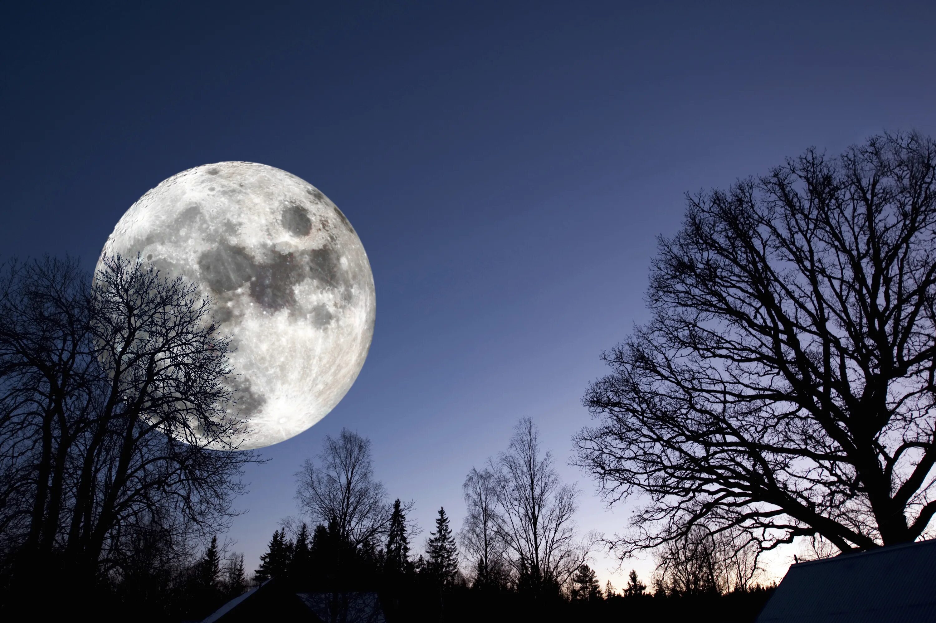 Полнолуние фото. Луна в Финляндии. Полная Луна лучшее фото.
