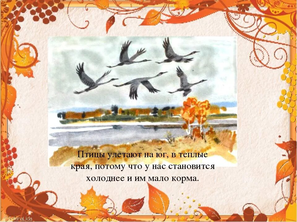 Птицы улетают в теплые. Осень птицы улетают на Юг. Птицы улетают в теплые края. Осенью птицы улетают в теплые края.