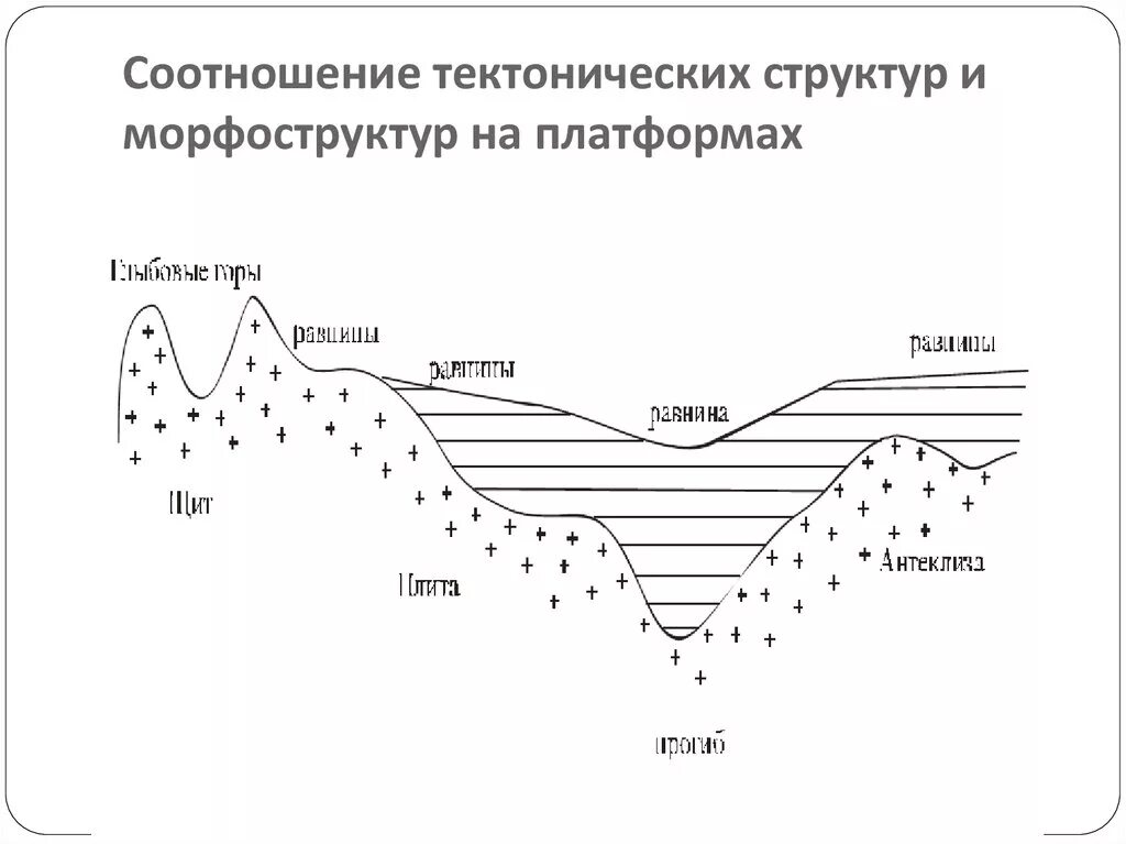 Какой тектонической структуре. Типы тектонических структур. Тектонические структуры схема. Типы морфоструктур России. Морфоструктуры равнин.