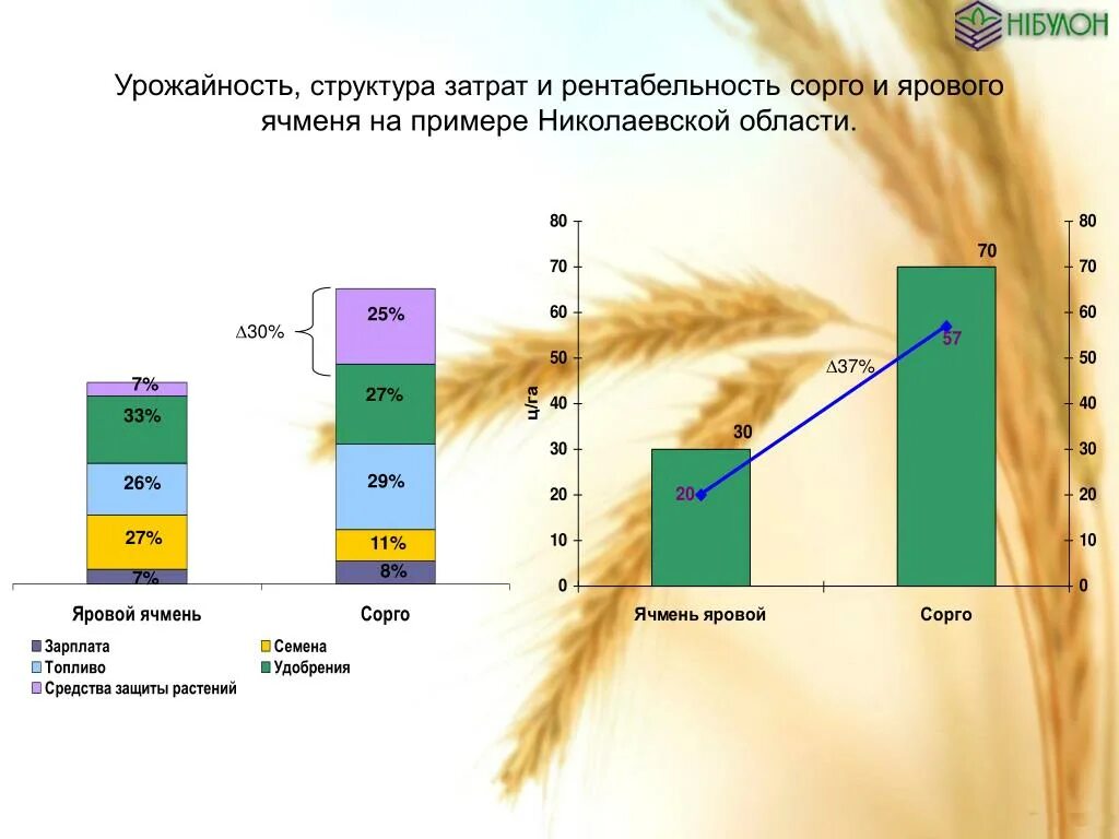 Себестоимость ячменя. Структура урожая ячменя. Урожайность ярового ячменя. Урожайность ячменя ц/га.