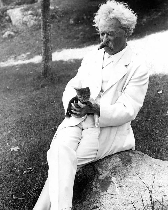 Фото марка твена. Твен кот. Твен кот. Твен кот. Твен кот.