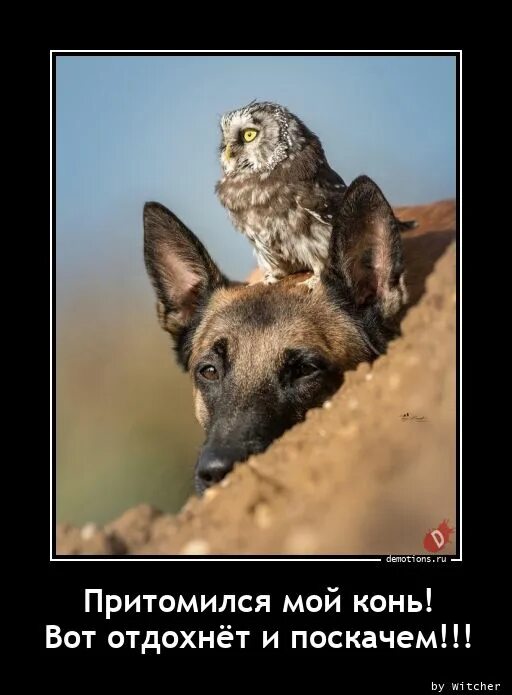 Мой конь притомился