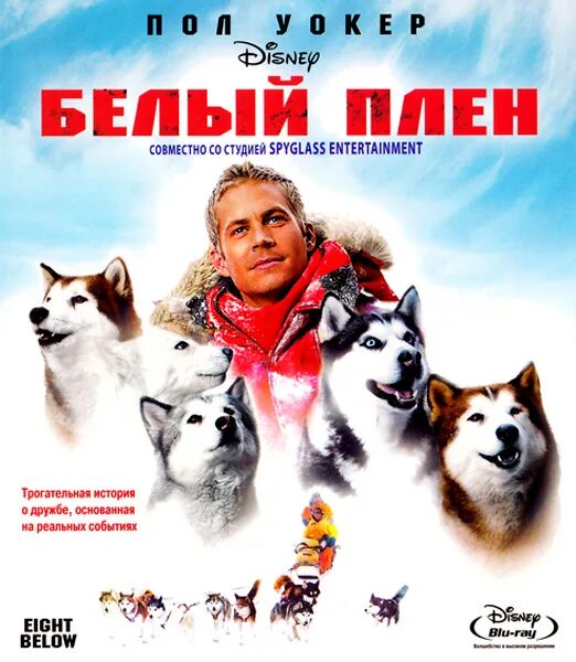 включи белый плен. белый плен фильм 2005. белый плен макс. фильм про хаски белый плен. включи белый плен.