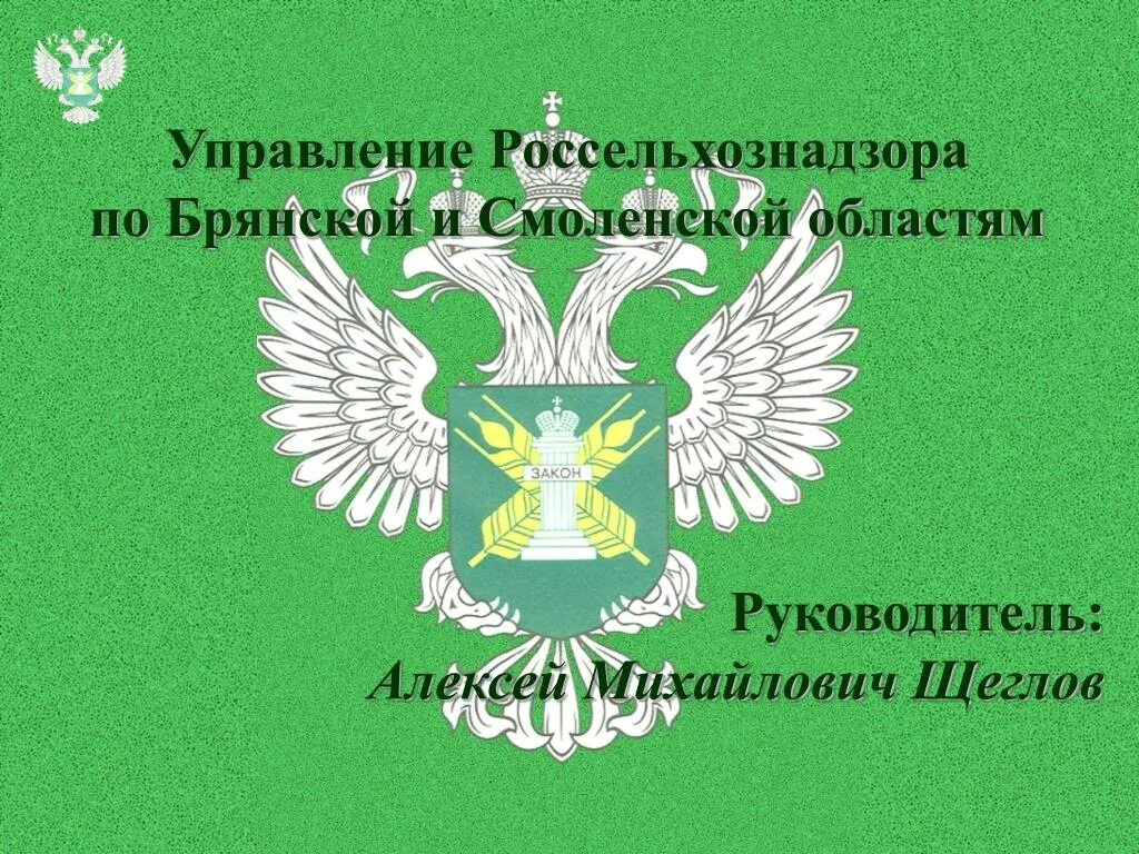 Сайт россельхознадзора по брянской и смоленской областям. Управление Россельхознадзора по Брянской. Россельхознадзор по Брянской и Смоленской областям. Россельхознадзор Смоленск. Щеглов Брянск Россельхознадзор.