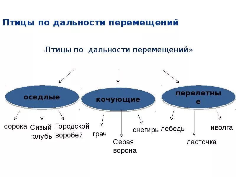 Годовой жизненный цикл птиц 7 класс. Годовой жизненный цикл и сезонные явления в жизни птиц. Годовой жизненный цикл и сезонные явления в жизни птиц 7 класс. Жизненный цикл птиц схема.