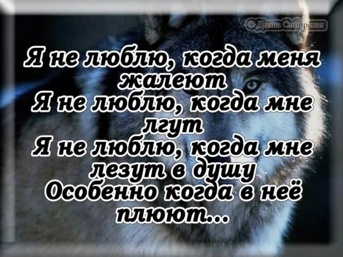 Посмотри в глаза я врать не буду. Стихи о лжи и обмане любимого человека. Стих про человека который врет. Стихи о предательстве и лжи любимого человека. Цитаты со смыслом про обман и предательство.