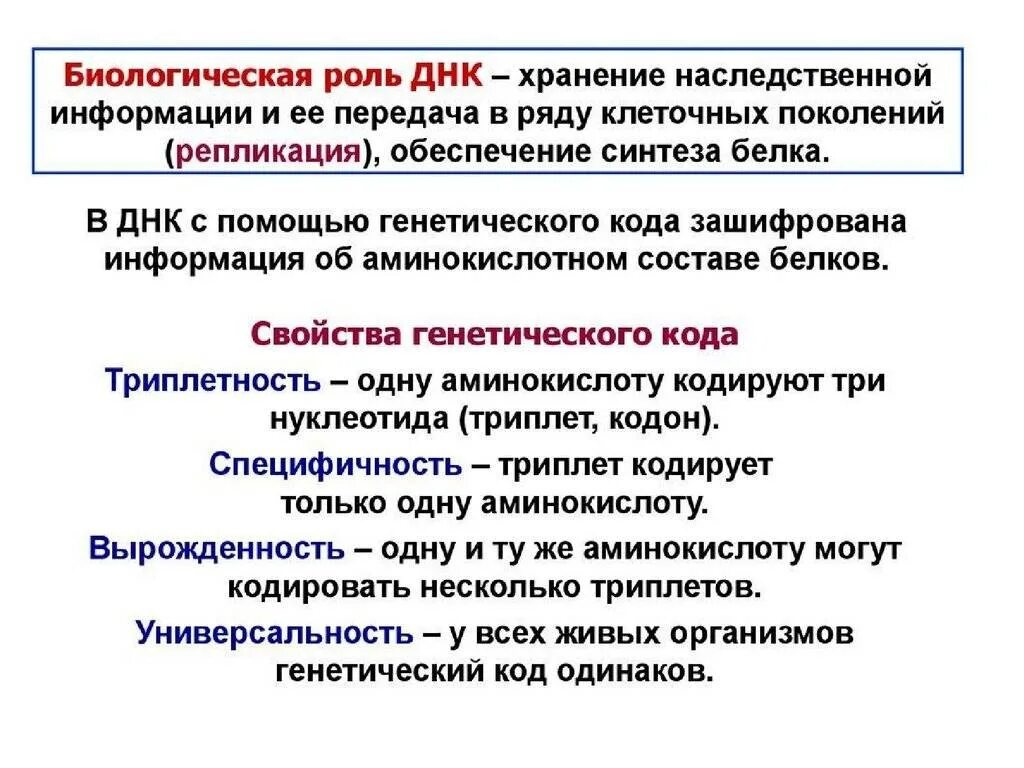 Строение, свойства и биологическая роль ДНК И РНК.. ДНК строение биологическая роль репликация. Какова биологическая роль ДНК. Биологическое значение ДНК кратко.