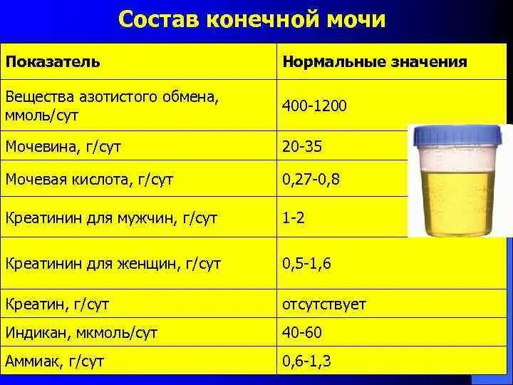 Сколько литров мочевой. Состав, свойства, количество конечной мочи.. Состав конечной мочи. Состав и объем конечной мочи. Состав мочи здорового человека.