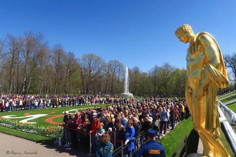 Сегодня в петергофе подробно по часам