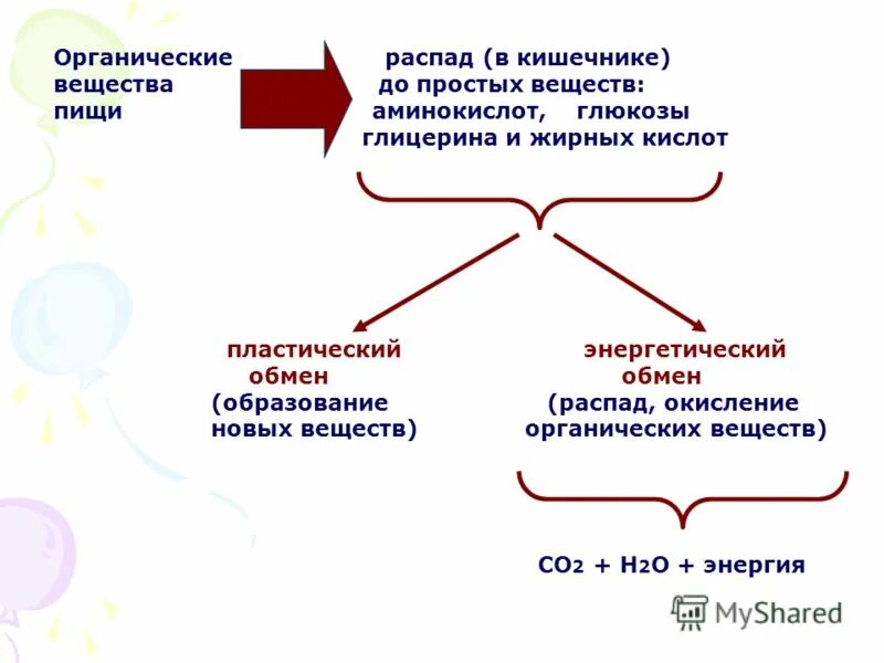 Органический распад