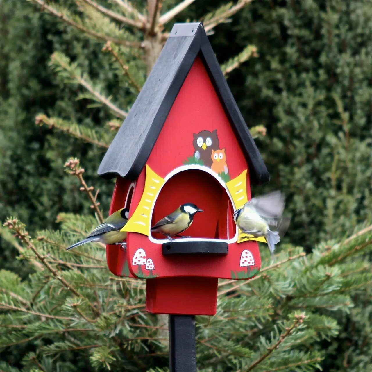 Home bird. Скворечник "птичий домик". Schwegler скворечник. Скворечник с кормушкой. Кормушка домик для птиц.