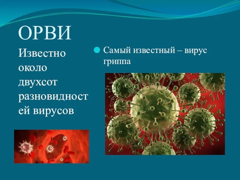 Сколько вирусов орви. Вирусные заболевания. Вирус ОРЗ. Острые респираторные заболевания вирусы. Вирус гриппа и ОРВИ.