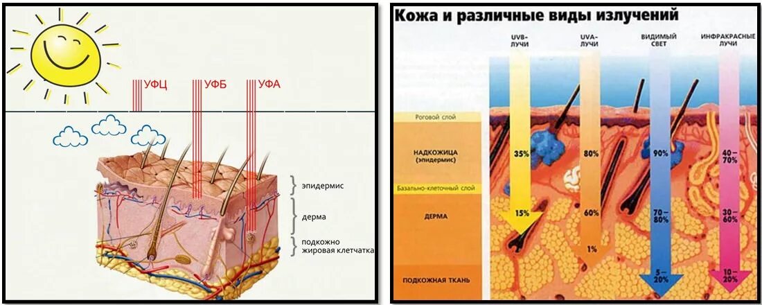 Солнце действие. Действие ультрафиолетового излучения на организм человека. Влияние ультрафиолетового излучения на кожу человека. Воздействие ультрафиолетового излучения на кожу. Проникающая способность УФ излучения.