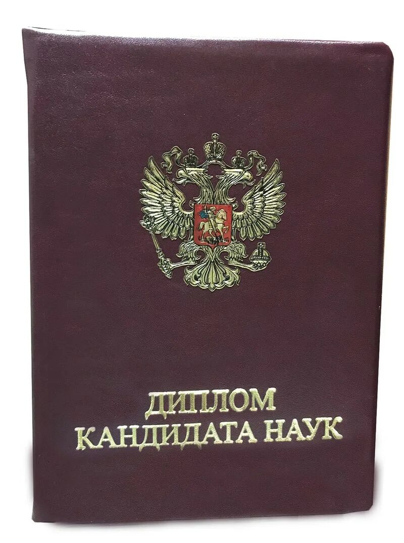 Диплом кандидата наук обложка. Значок кандидата наук. Диплом кандидата технических наук. Кандидат н. Диплом кандидата технических наук.