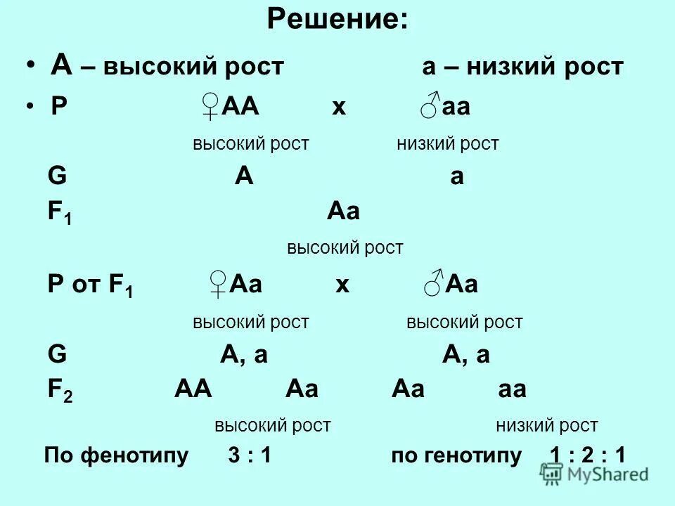взаимодействие генов комплементарность. задача по биологии на генетику 9 класс с решением. генетика роста. генотипы роста. генотипы роста.