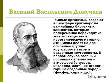 Биография василия васильевича