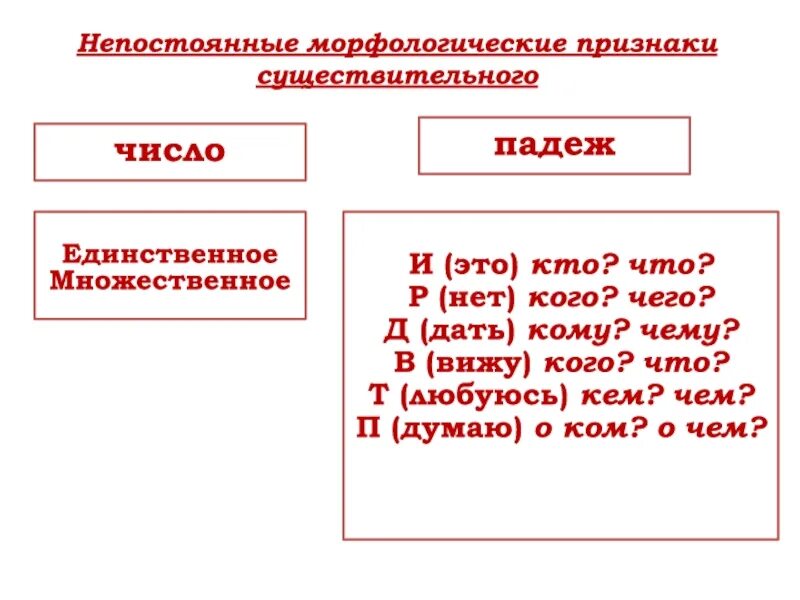 Морфологические признаки. Морфологические признаки существительного. Непостоянные и непостоянные признаки существительного. Непостоянные морфологические признаки.