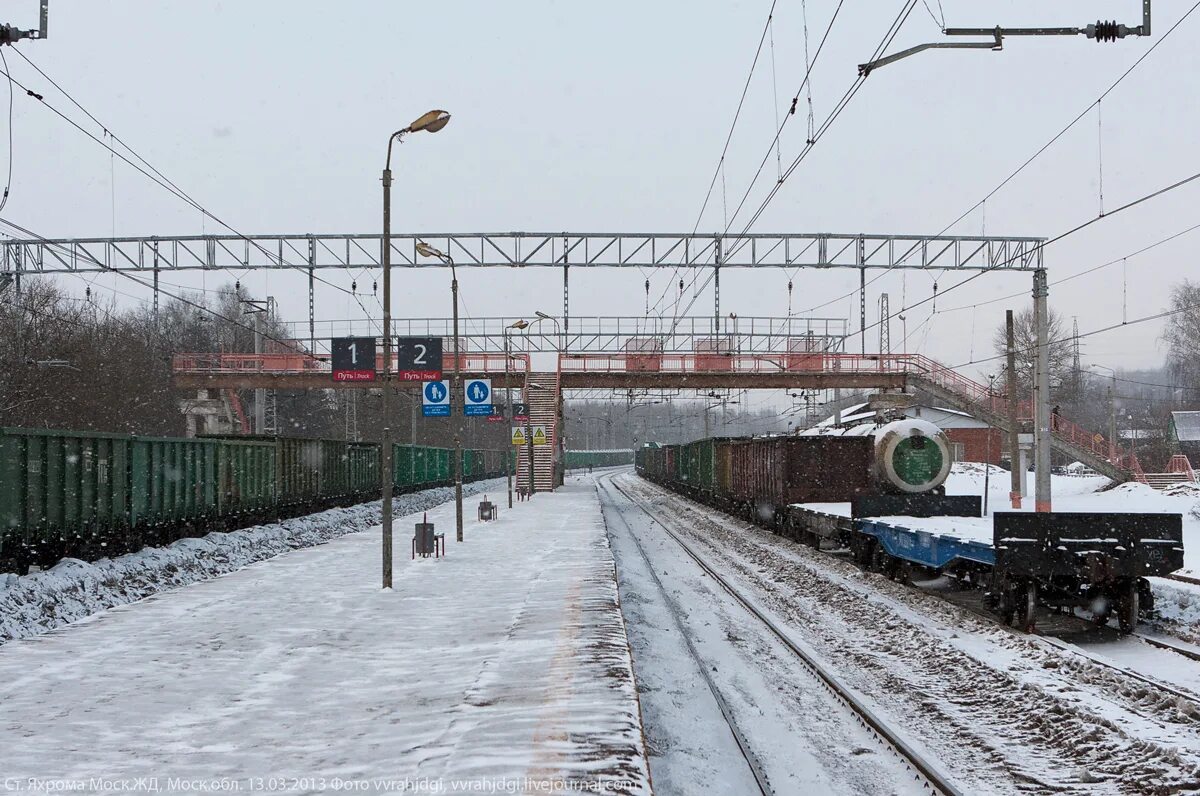 яхрома морозки. поселок икша на карте. яхрома морозки. яхрома лес. эр2к-980 яхрома.