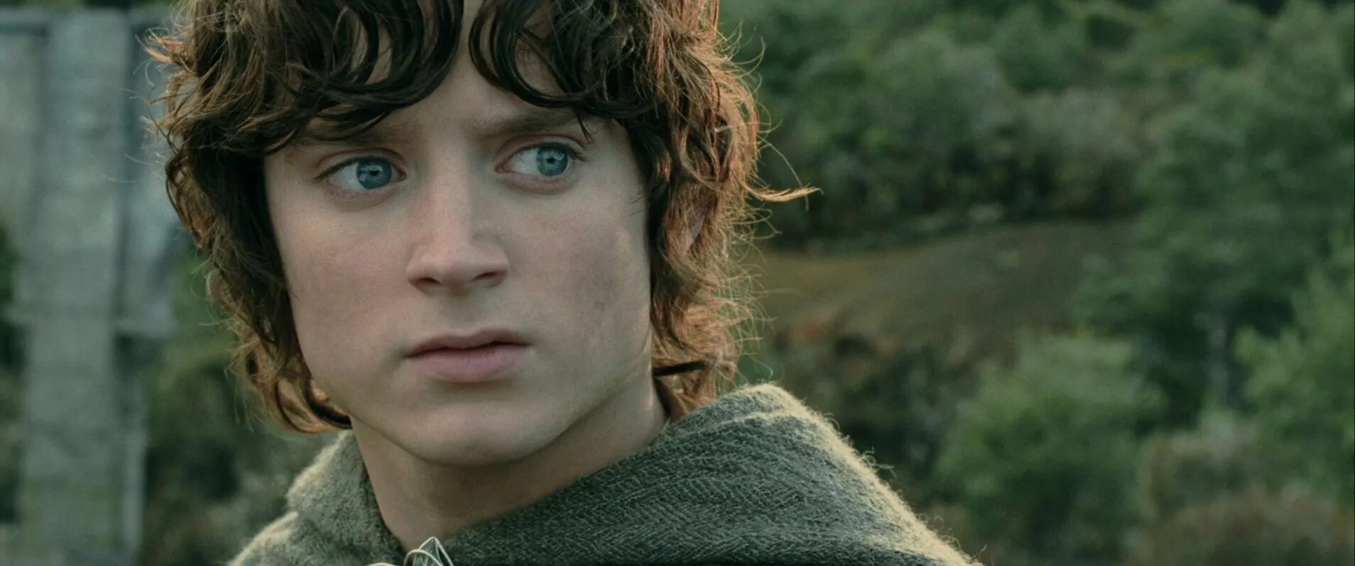 властелин колец фродо актер. элайджа вуд властелин колец и сейчас. элайджа вуд властелин колец. властелин колец фильм 2001. элайджа вуд властелин колец.