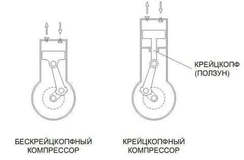 Крейцкопф