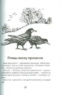 Грачи прилетели проталины принесли трясогузки