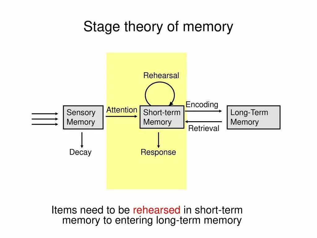 Short memory. Long term Memory. Short term Memory. Long term Memory working Memory. Short Memory long Memory.