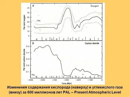 Температура и содержание кислорода в воздухе