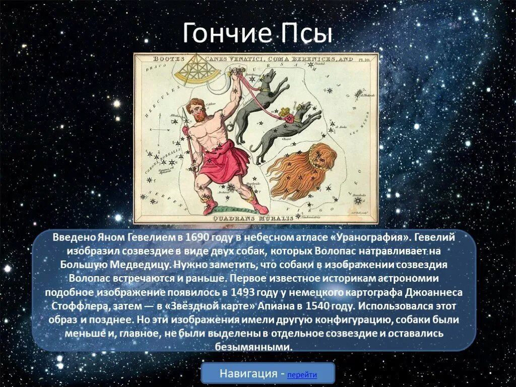 Созвездие весеннего неба дева. Гончие псы Созвездие рассказ. Волопас Созвездие гевелий. Созвездие гончих псов схема. Созвездие Волопас Легенда.