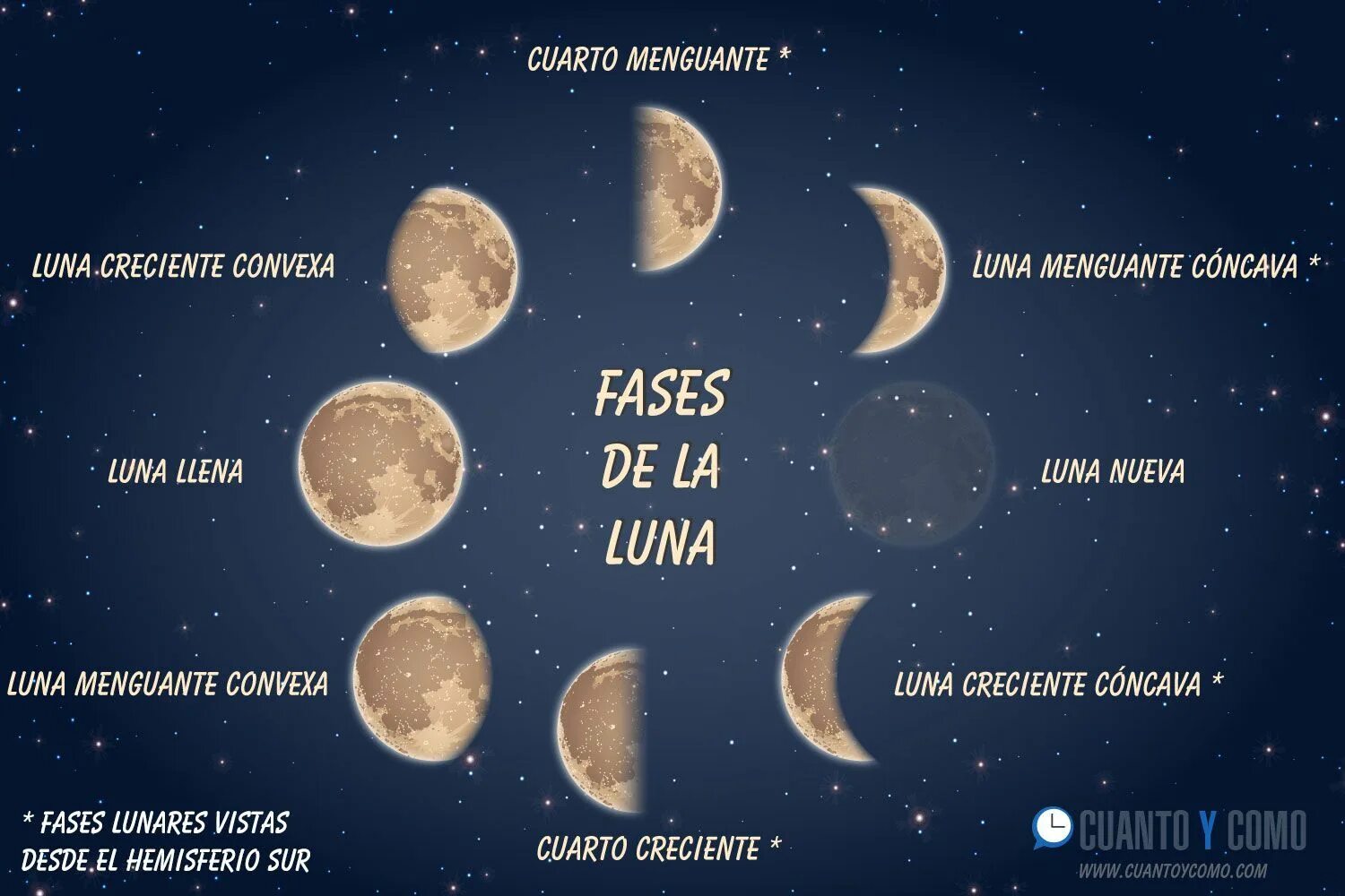 Luna net
