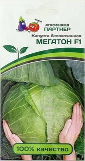 Капуста мегатон описание сорта отзывы характеристики