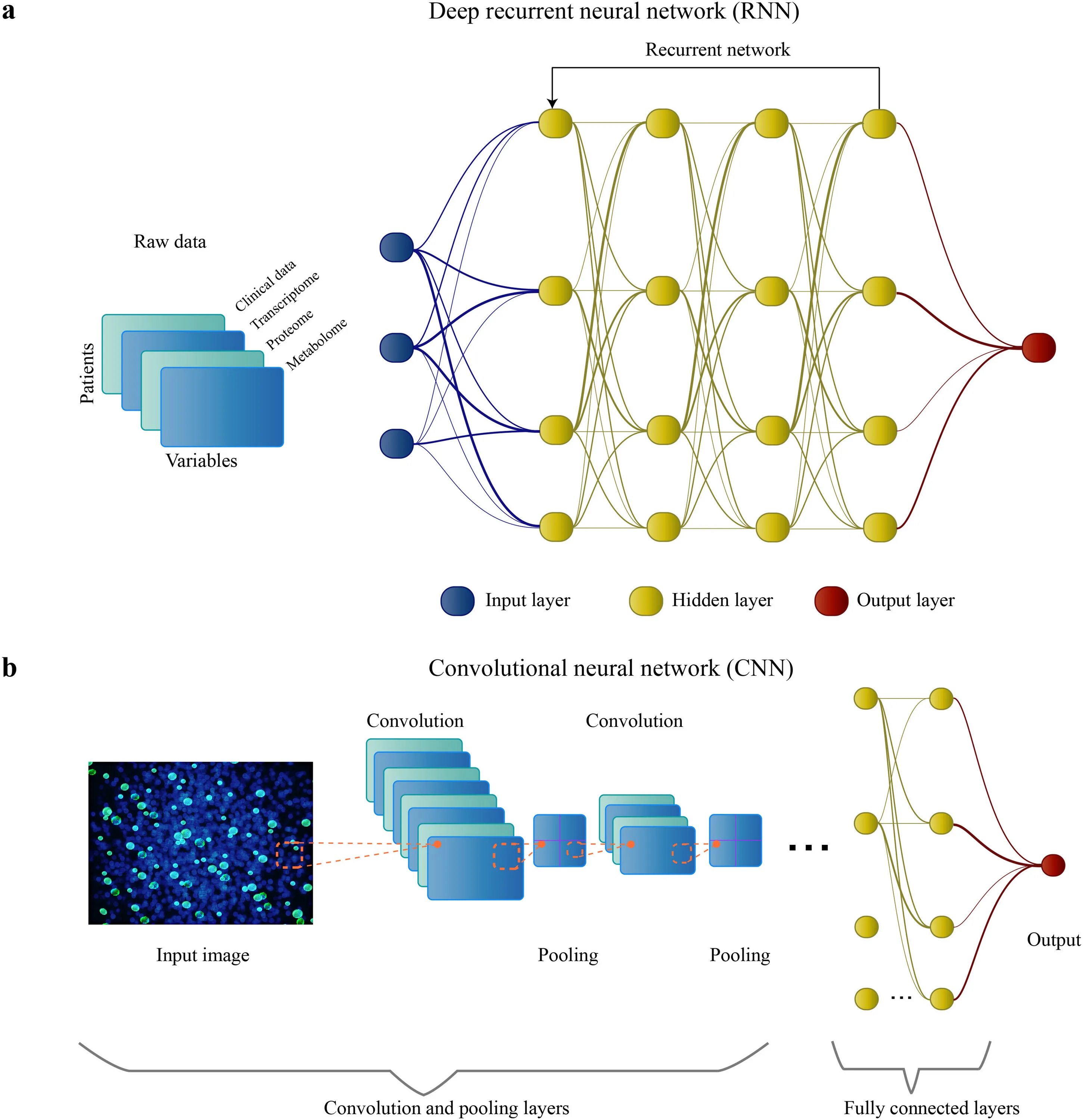 Neural networks and deep learning. Структура нейросети. нейронные сети инфографика. майкла нильсена «neural networks and deep learning.