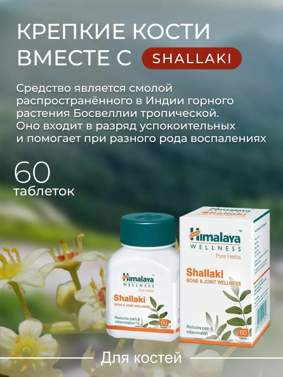 Shallaki himalaya. Шаллаки инструкция shallaki. Манжишта (manjishtha) himalaya, 60 таб. Shallaki himalaya инструкция. Босвелия серрата, (шаллаки ) sanavi , 60 таб.