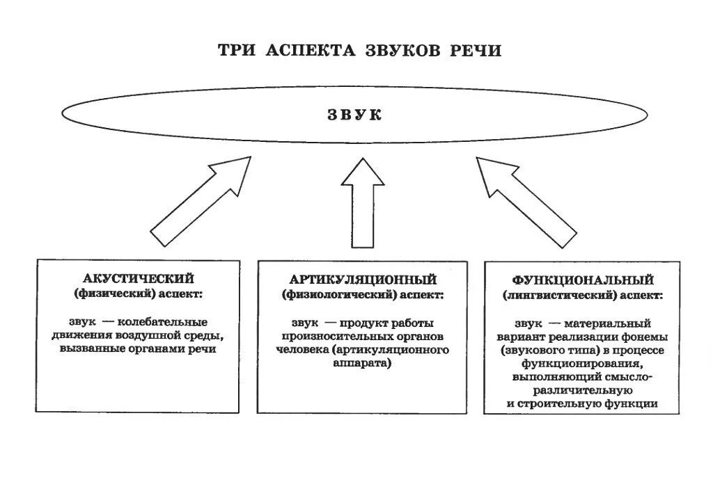 Три аспекта изучения звуков речи. Физический аспект изучения звуков речи. Аспекты изучения фонемы. Аспекты изучения звуков речи Языкознание. Функции звука речи