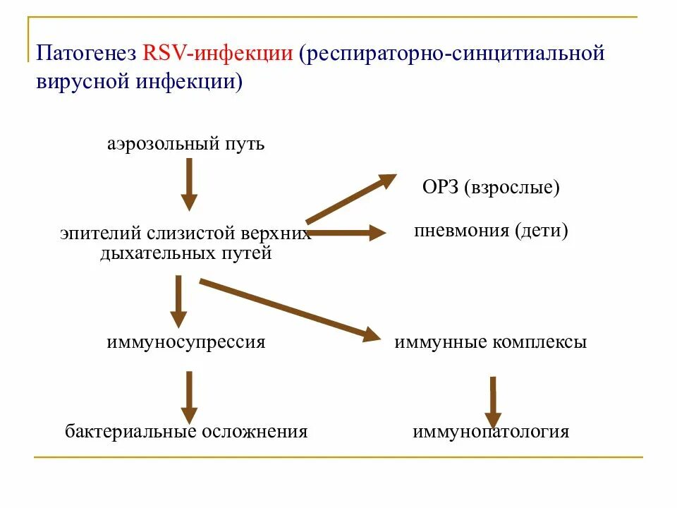 Патогенез респираторно-синцитиального вируса. Механизм развития респираторно-синцитиальной инфекции. РС инфекция патогенез. Патогенез РС инфекции у детей. Вирусы патогенез