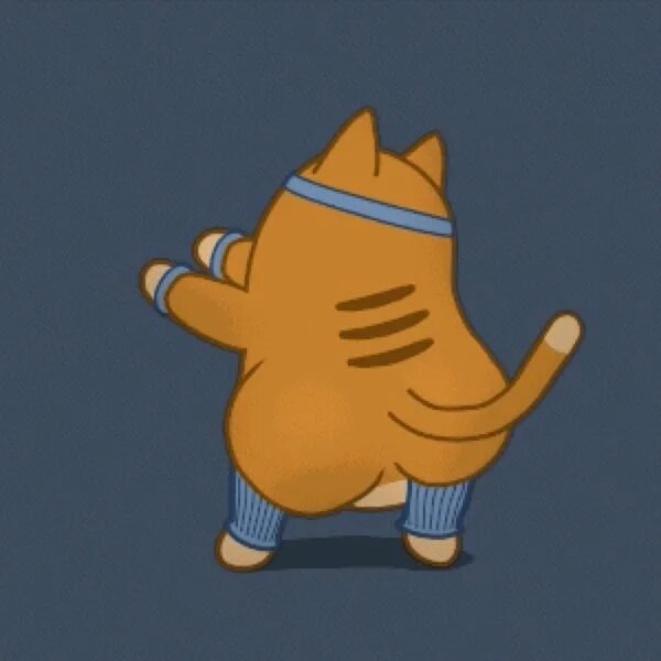 Танцующие котики гиф. Гифка кот танцует. Гифка танцующего кота. Танцующий кот gif. Танцующий котик gif.
