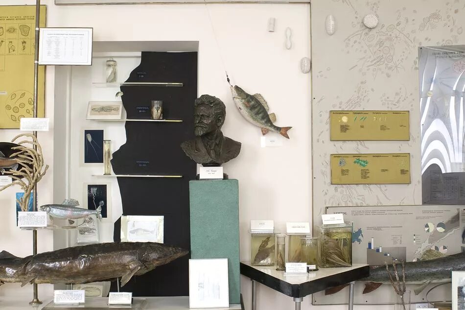 Экспозиция в байкальском музее инц со ран. Лимнологический музей байкал. Лимнологический музей иркутск. Музей озера байкал в листвянке. Экспозиция в байкальском музее инц со ран.