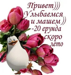 Привет улыбка