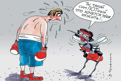 Стой или попался