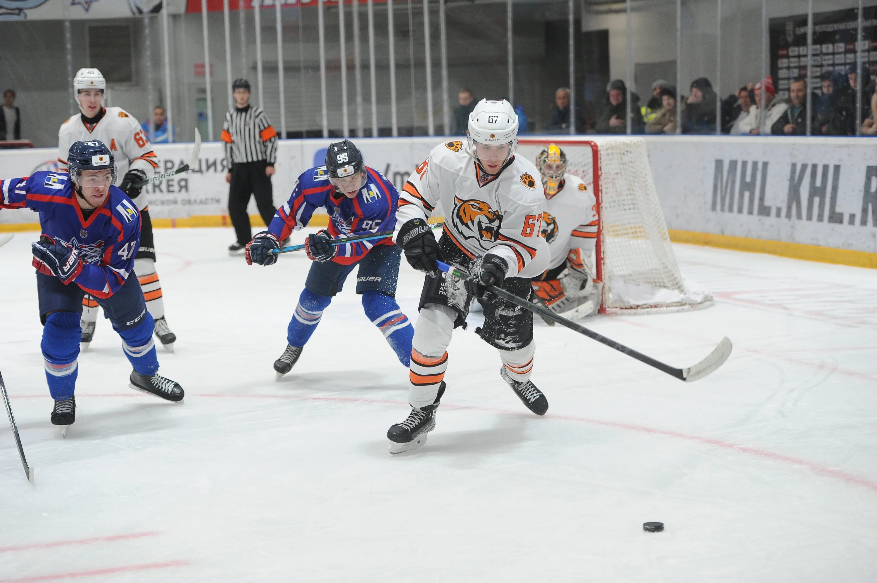 Сахалинский тигр. Амурские тигры сахалинские акулы. Мхл амурские тигры. Игра сахалинские акулы амурские тигры 25 декабря. Сахалинские акулы амурские тигры.